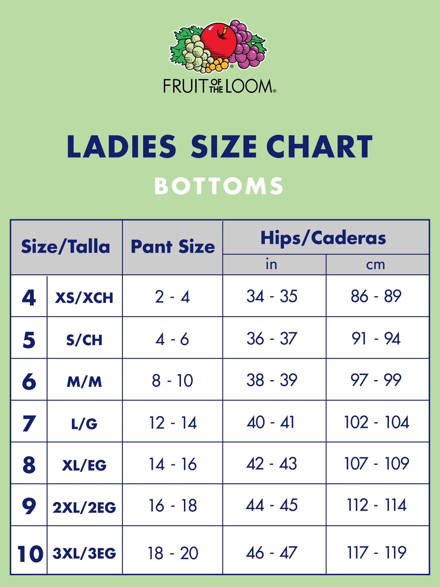 Fruit of the Loom Women's Nylon Brief Underwear, 6 Pack, Sizes 6