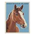 thumbnail image 2 of Assateague Island, Horse, Letterpress (1000 Piece Puzzle, Size 19x27, Challenging Jigsaw Puzzle for Adults and Family, Made in USA), 2 of 4