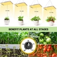 thumbnail image 5 of VANNECT LED Grow Light Dimmable, 1000W Full Spectrum Grow Lamp for Indoor Plants Seeding Vegs and Flowers, With Thermometer Humidity Monitor, Adjustable Rope and Glasses, 5 of 8