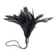 thumbnail image 1 of Soft Flirting Feather Tickler para Night Party Funny Broma Toy Gift Favors Sunnimix Juguetes de cosquillas para ligar, 1 of 7
