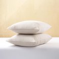 thumbnail image 2 of 2pk Big Lion Zig Zag Pillows, 2 of 4