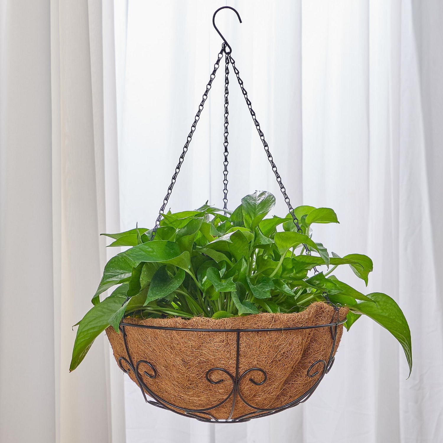 HOME TRENDS 14 IN COCO HANGING BASKET, 14 IN COCO BASKET