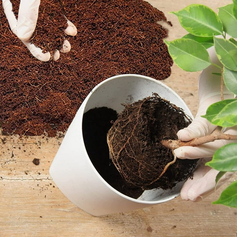  Perfect Plants Organic Garden Coir, 8qt. Premium Garden Coir