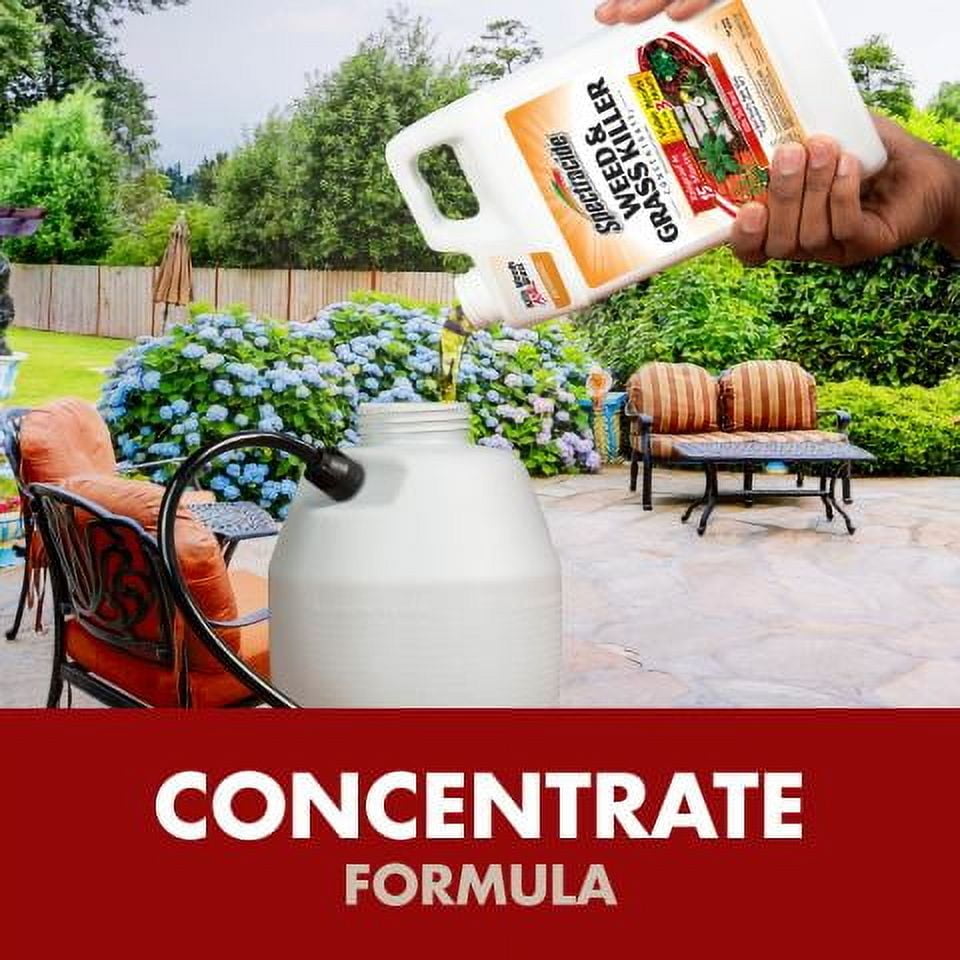 Spectracide Weed & Grass Killer Concentrate, Use on Patios, Driveways, and Walkways, 64 fl oz
