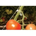 thumbnail image 3 of Kit de palissage Pro Canopia by Palram, 3 of 9