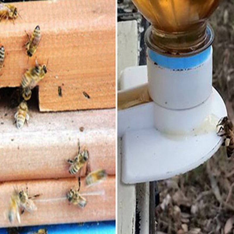 10pcs White Feeding Tools Water Feeder Beekeeping Bee Hive Honey Supplies Set 