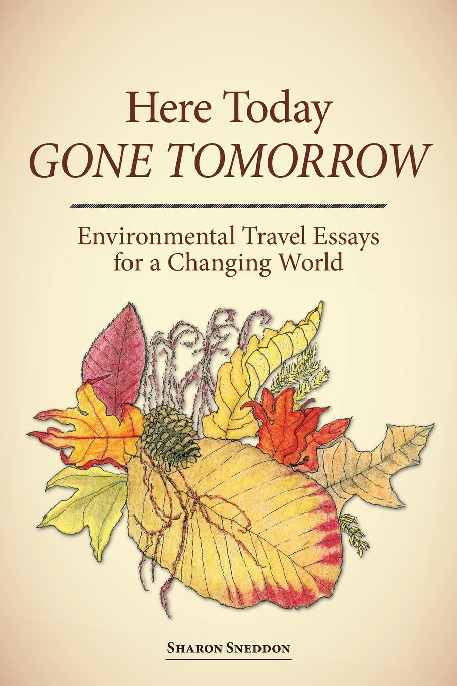 Here Today Gone Tomorrow Environmental Travel Essays For A Changing World Paperback Walmart Com Walmart Com