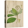 thumbnail image 3 of PixonSign Canvas Print Wall Art Wood Style White Flowers & Green Leaves Floral Wildlife Illustrations Modern Art Traditional Relax/Calm Multicolor Pastel for Living Room, Bedroom, Office - 12"x18", 3 of 5
