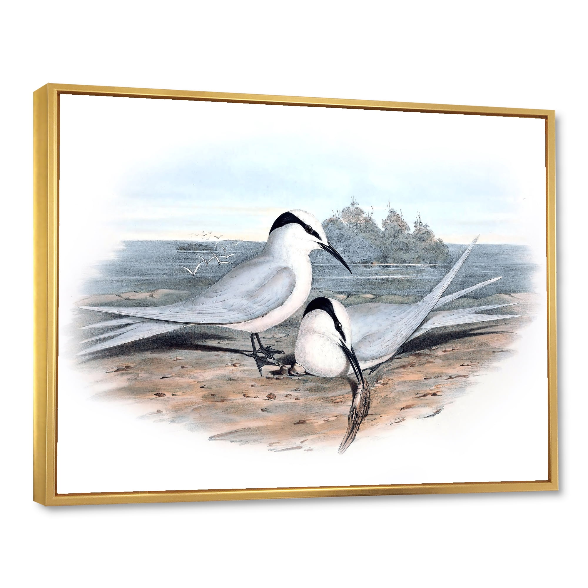 Designart 'Ancient Birds In The Wild IX' Traditional Framed Canvas Wall Art Print