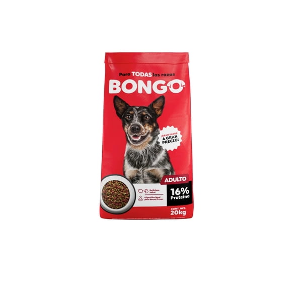 Bongo 20 Kg