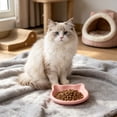 thumbnail image 5 of LEFXSMR Dinner Plates Cute Cat Shaped Plastic Plates with Non-Slip Base Microwave Safe Kitchen Utensils for Home Use, Pink, 5 of 7