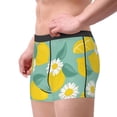 thumbnail image 2 of Picia Lemons Chamomile Flowers And Leaves Pattern Men’s Boxer Briefs – Soft & Breathable Underwear, Stretchy & Comfortable Fit, Supportive Pouch Design, Moisture-Wicking-Large, 2 of 5