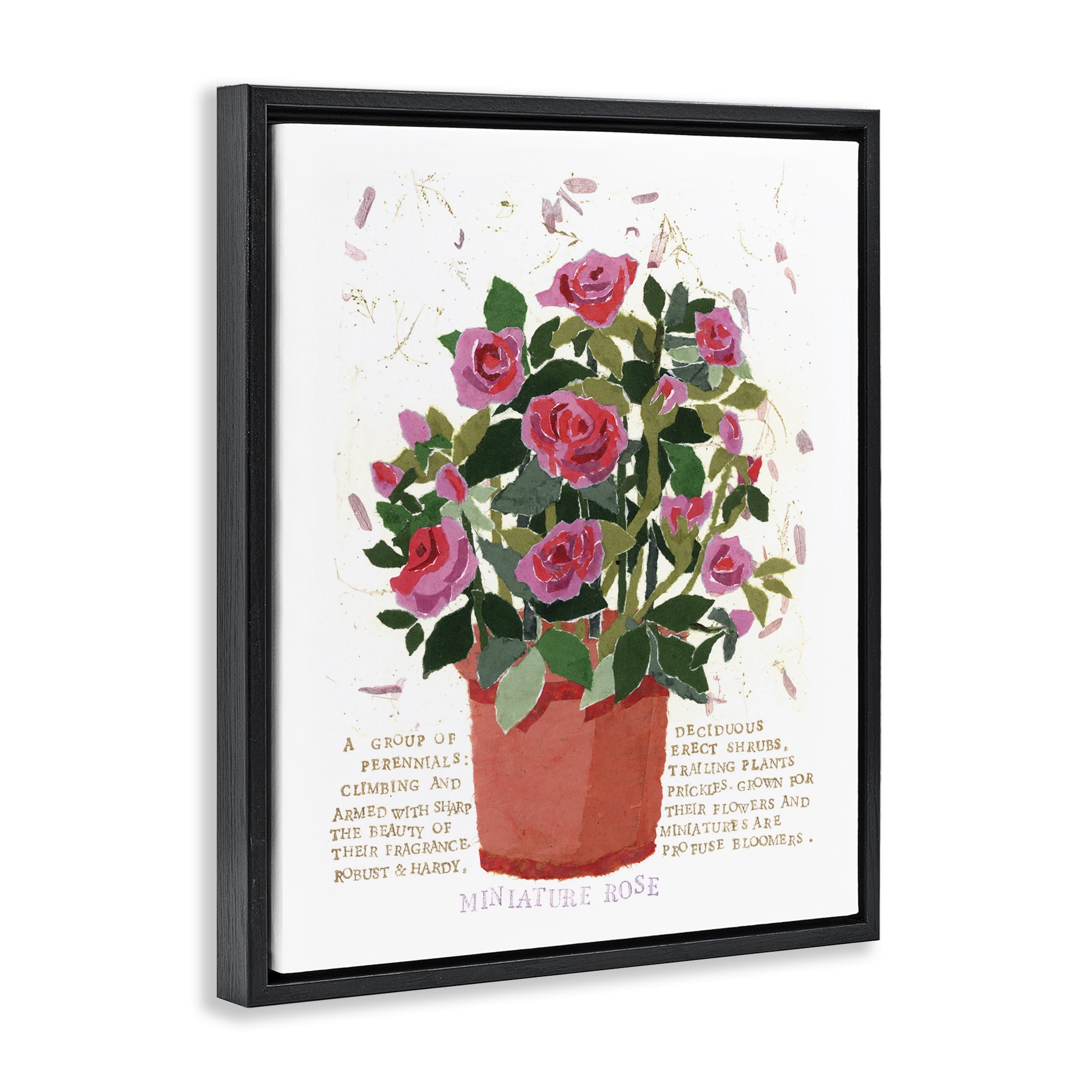Stupell Industries Mini Roses Bouquet Botanical & Floral Painting Black Floater Framed Art Print Wall Art, 17 x 21