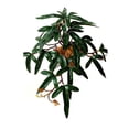 thumbnail image 1 of Animaux Rampants, Fournitures de Rampement, Plantes Simulées, Animaux, 1 of 8