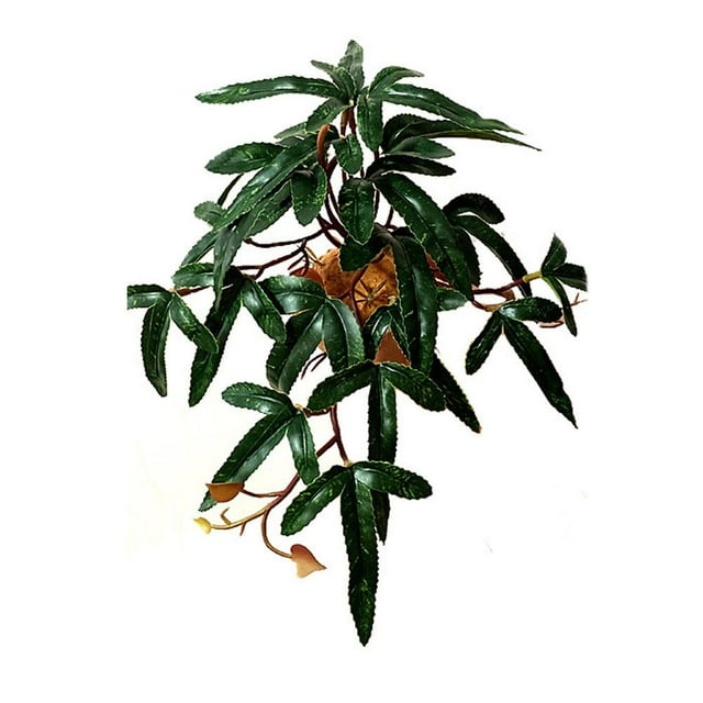 Animaux Rampants, Fournitures de Rampement, Plantes Simulées, Animaux