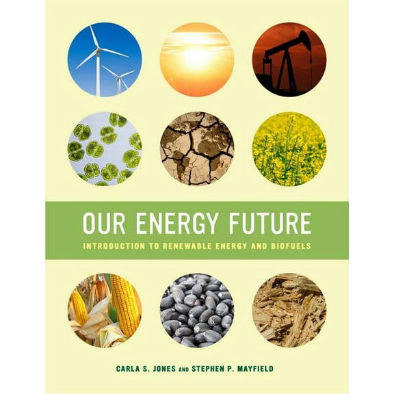 Our Energy Future : Introduction to Renewable Energy and Biofuels (Edition 1) (Paperback)