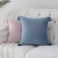 thumbnail image 2 of 2 Pcs Velvet Throw Pillow Cover with Tassel, Square Throw Pillow Case Cushion Cover, 2 of 8