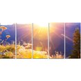 thumbnail image 2 of Fleurs de prairie rurale au coucher du soleil - Paysage Impression sur toile, 2 of 3