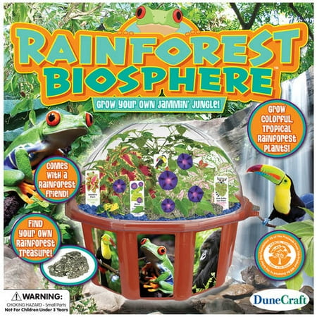 Dome Terrarium: Rainforest Biosphere