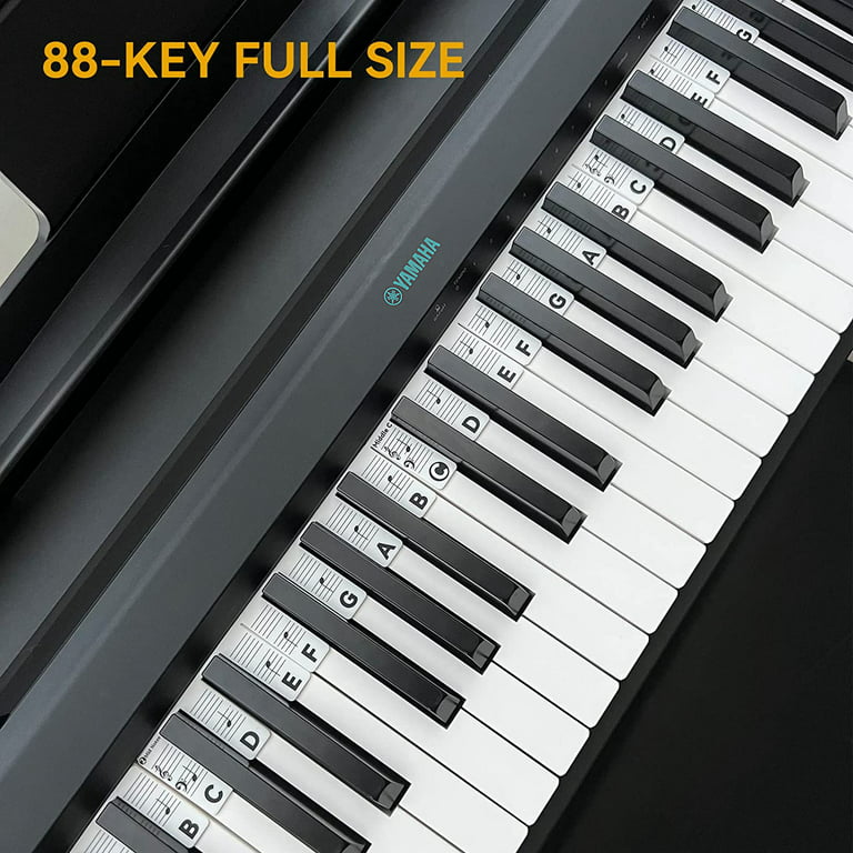 How can I label my keyboard with letters? I'm new to this and want to know  how to easily read it and play songs : r/piano