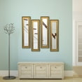 thumbnail image 6 of Rayne Mirrors Molly Dawn Vintage Wall Mirror, 6 of 7