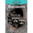 thumbnail image 1 of Pre-Owned Elementary Explorers: Raccoons (Paperback), 1 of 1