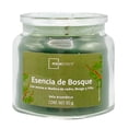 thumbnail image 1 of Vela Mainstays Esencia de Bosque 85 G, 1 of 4