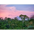 thumbnail image 2 of Eggers, Terry 18x15 Black Ornate Wood Framed with Double Matting Museum Art Print Titled - Indonesia-Bali-Ubud-Sunrise in the rainforest, 2 of 4