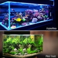 thumbnail image 6 of 1 Pcs Colorful Coral Reef Decor Mini Faux Coral Decor for Aquarium Decorations Pink Blue 3x6cm, 6 of 6