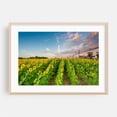 thumbnail image 2 of Jarrettsville Sunflowers - Maryland Photography Landscape Nature Floral Scenic Farmhouse Rural Unframed Wall Art Print 4 x 6 inches, 2 of 7