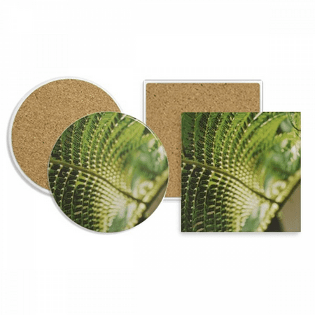 

photography picture nature coaster cup mug holder absorbent stone cork base set