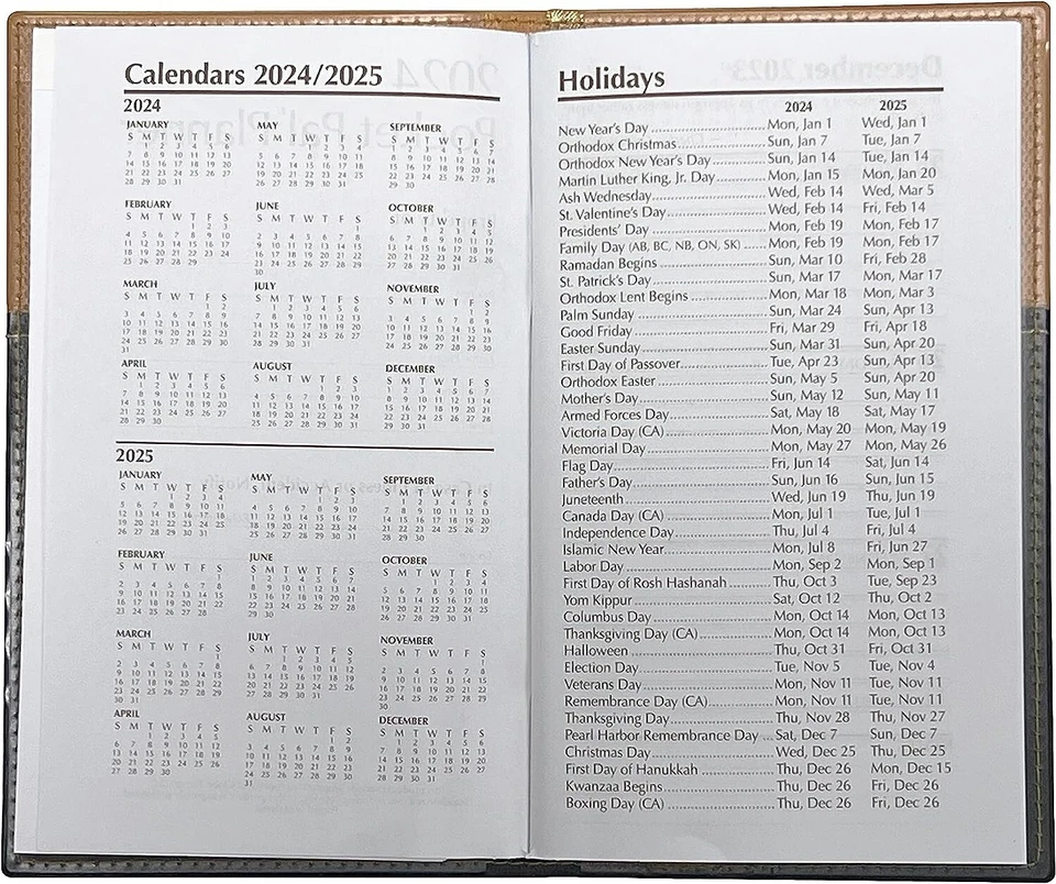 2025 At A Glance Dayminder: Weekly Pocket Calendar & Planner Organizer 3.5" X 6"
