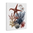 thumbnail image 2 of Stupell Industries Traditional Natural Aquatic Sea Creatures Canvas Art, 16 x 20, by Ramona Murdock, 2 of 7