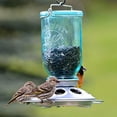 thumbnail image 2 of Perky-Pet 784 Mason Jar Wild Bird Feeder, Blue, 2 of 2
