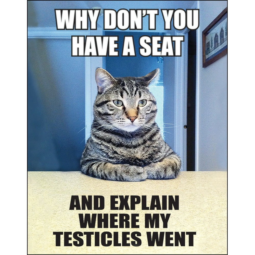 Funny Retro Poster Explain Where My Testicles Went Ephemera Art Print