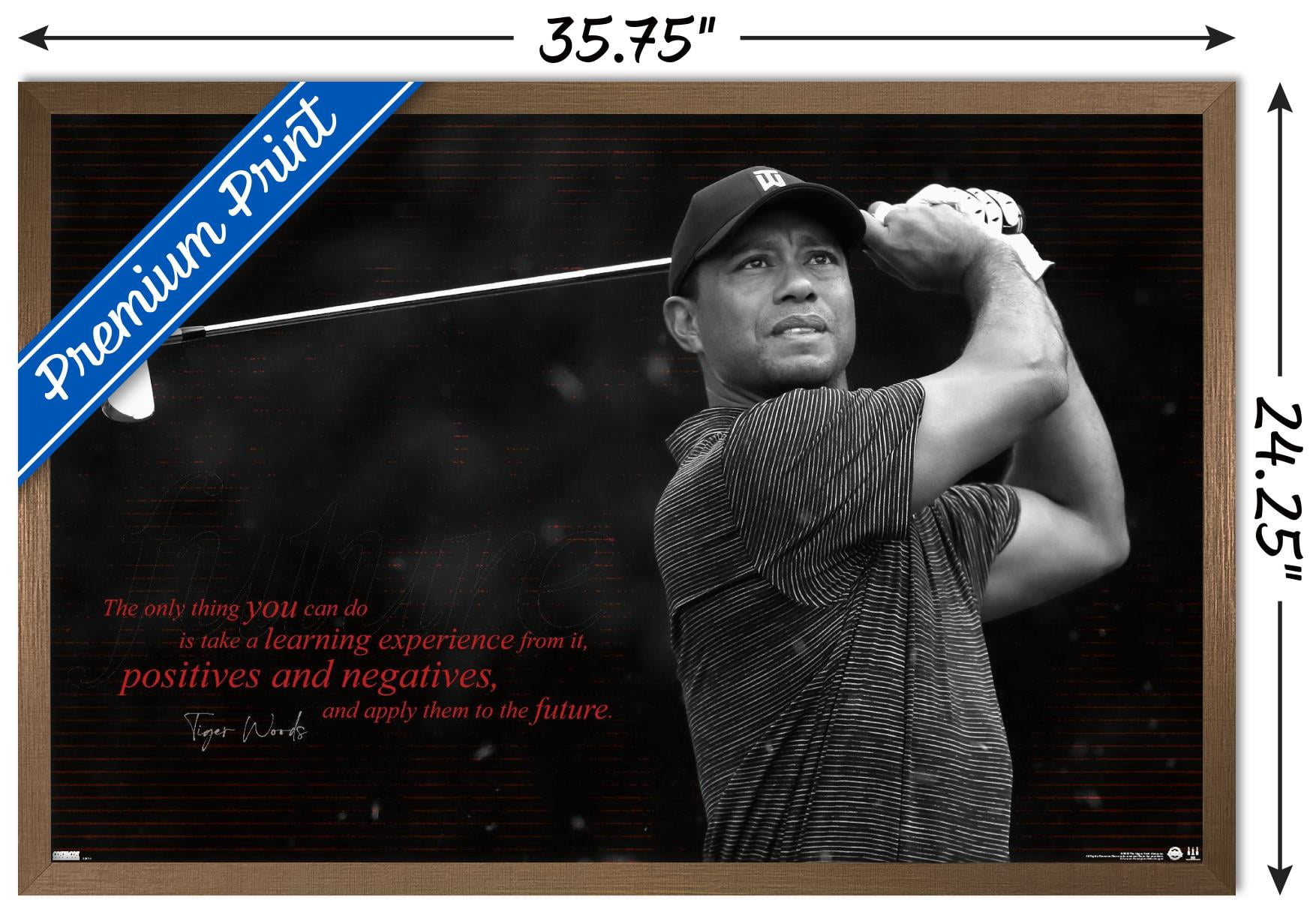 Tiger Woods - Future Wall Poster, 22.375" x 34" Framed