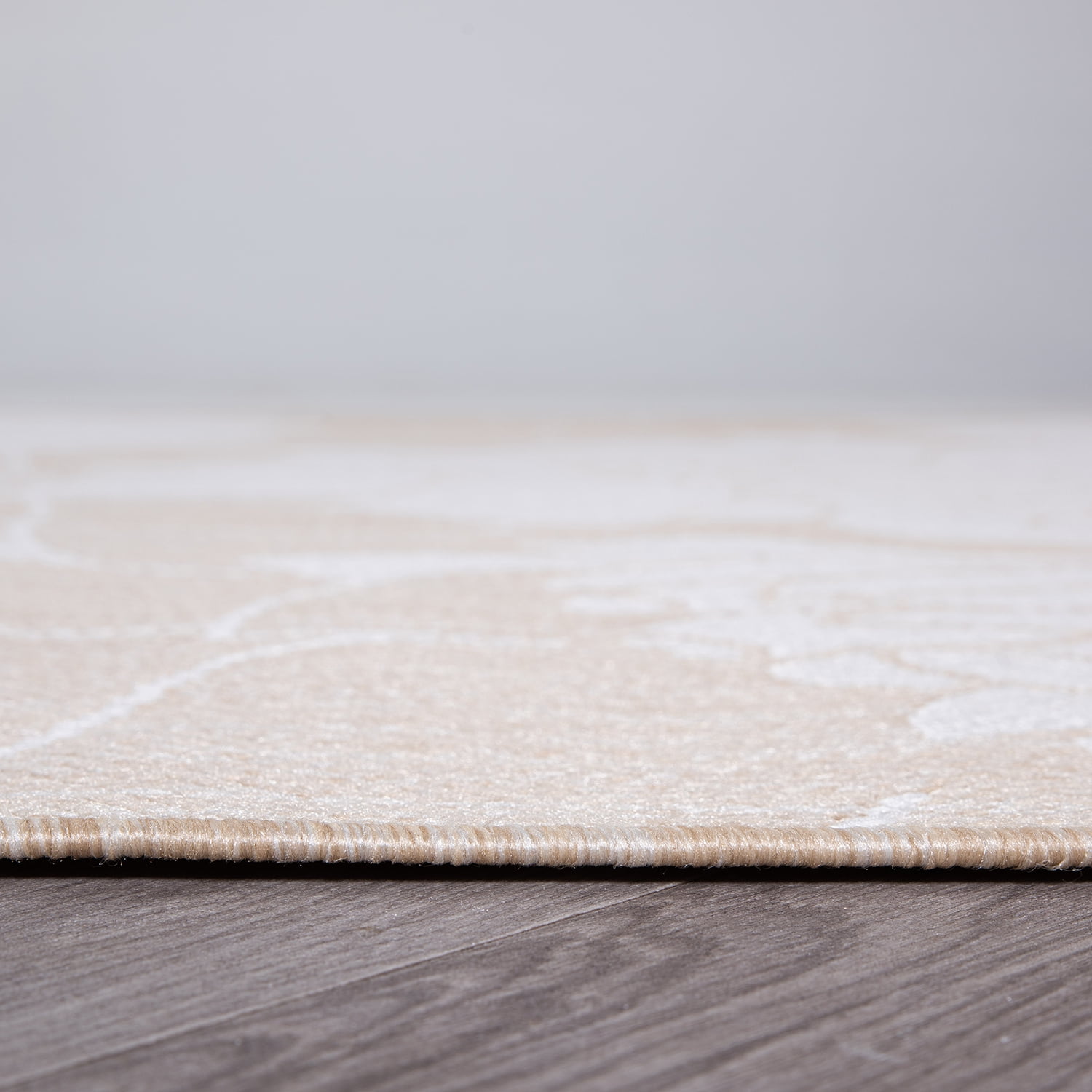 World Rug Gallery Modern Floral Flowers Textured Flat Weave Indoor/Outdoor Area Rug - NATURAL 2'x7'