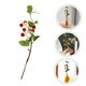 thumbnail image 5 of FESTFENDS Simulación Raspberry Plástica Para De Fiesta Y Exhibiciones, 5 of 8