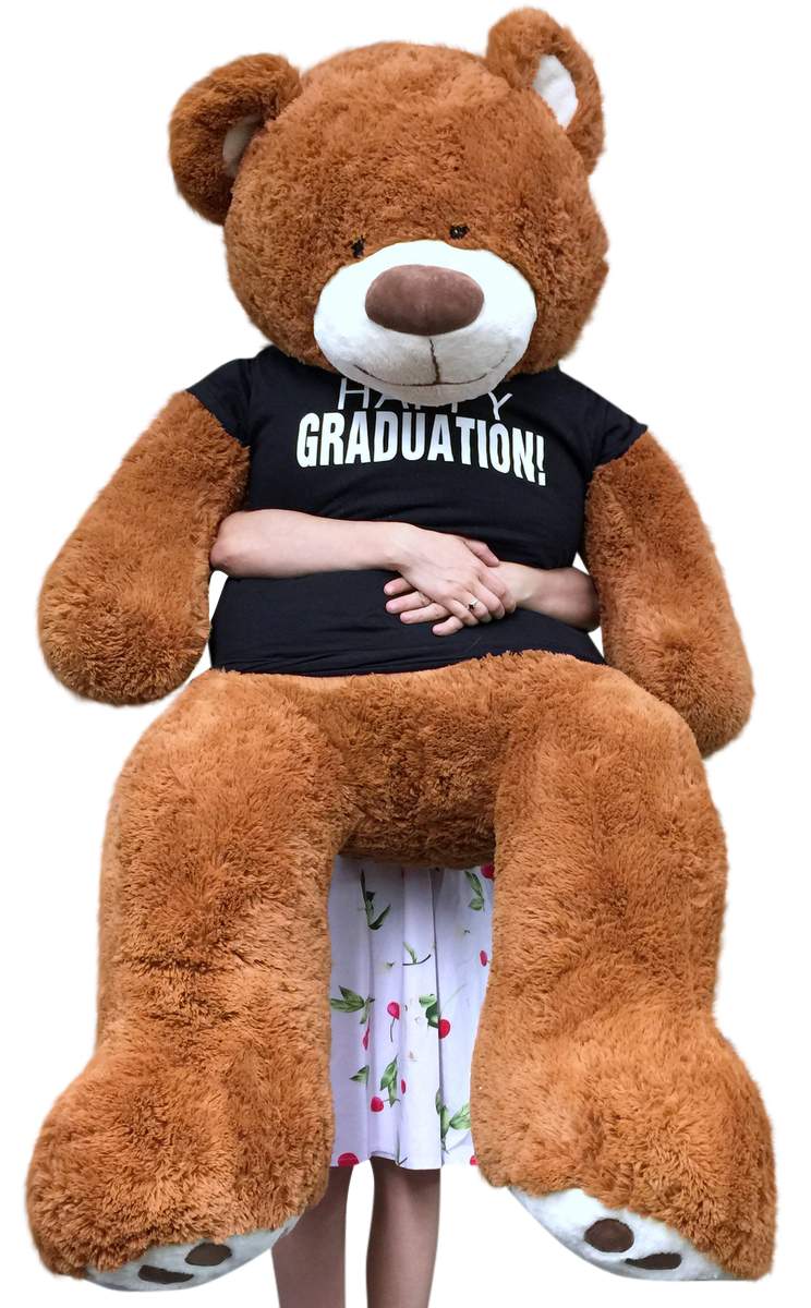 graduation teddy bear walmart