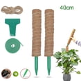 thumbnail image 2 of LOVIVER Extension Poles, Sticks Support Monstera Plant Climbing Rod Stakes Coir 40cm Set, 2 of 8