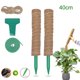 thumbnail image 2 of de soporte de barra de para pntas Monstera para pntas Juego de 40 cm. Zulema postes de musgo, 2 of 8
