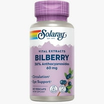 Solaray Bilberry Berry Extract 60 mg | Powerful Antioxidant | Healthy Vision & Circulation Support | 60 VegCaps