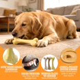 thumbnail image 3 of Nylon dog chew bone, durable, designed for aggressive chewers dog chew toy, bacon flavored dog bone, suitable for dogs over 33 pounds, 1 pack, 3 of 4