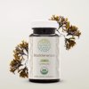 HerbEra Bladderwrack Capsules, Organic Herbal Dietary Supplement for Thyroid Function Support, Certified Organic Bladderwrack (Fucus vesiculosus) Dried Plant Capsules, Natural, 60 Capsules
