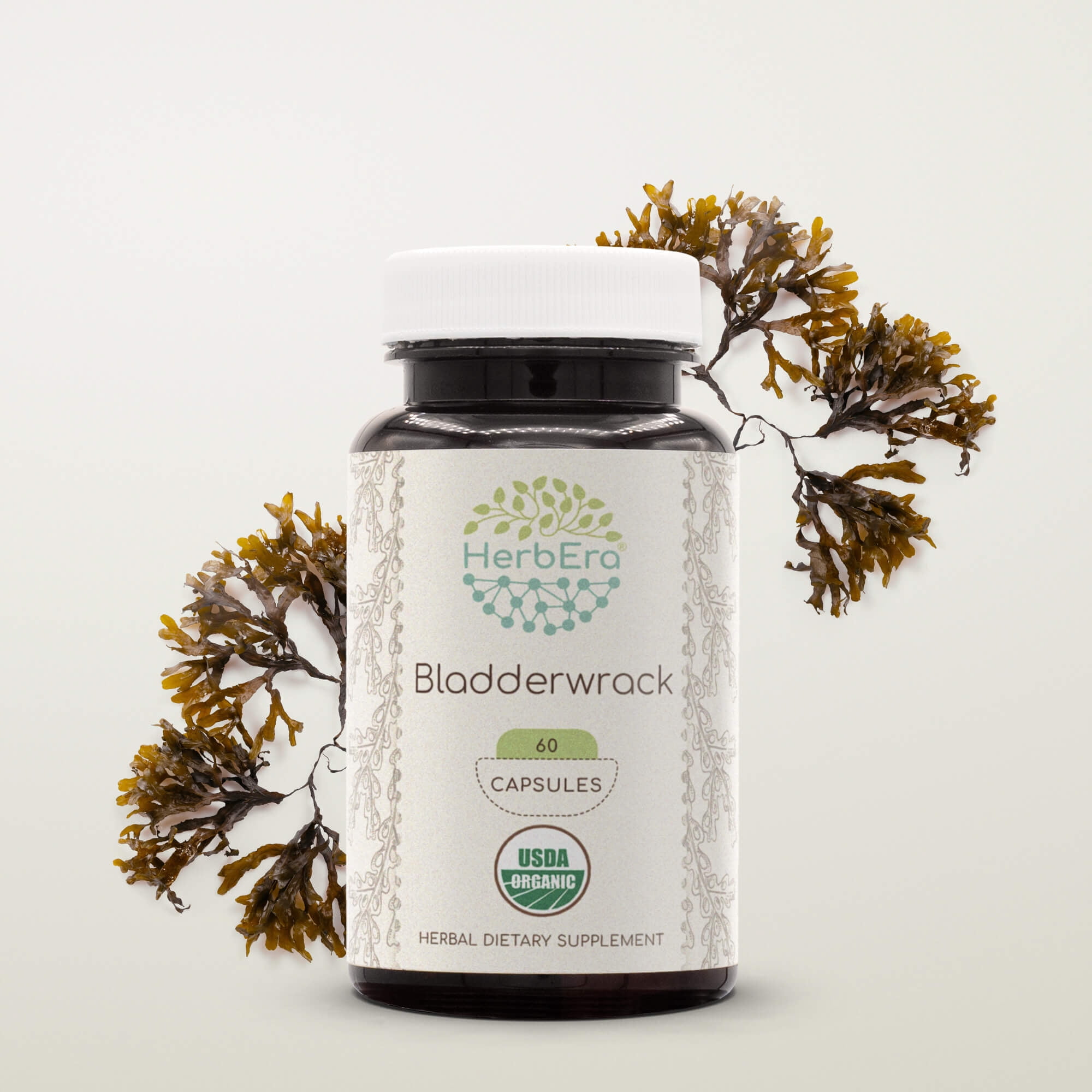 HerbEra Bladderwrack Capsules, Organic Herbal Dietary Supplement for Thyroid Function Support, Certified Organic Bladderwrack (Fucus vesiculosus) Dried Plant Capsules, Natural, 60 Capsules