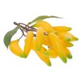 thumbnail image 4 of ColoMX Fruta falsa clúster de plátano de fruta artificial plástico plátano clúster falso clúster fruta falsa fruta, 4 of 7