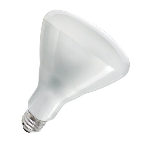 Update International 250 Watt Heat Lamp Light Bulb