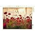 thumbnail image 3 of CALVENDO Puzzle Poppies in The Evening Light | 1000 Pieces Size 25" x 19", 3 of 4