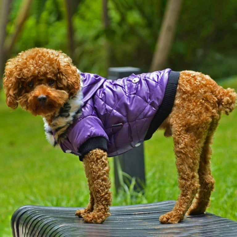 Waterproof dog walking clearance coat