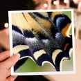 thumbnail image 7 of 3drose, Oregon, Bend Western Tiger Swallowtail Butterfly - Us38 Rer0395 - Ric Ergenbright, 6 Greeting Cards with Envelopes, 7 of 7